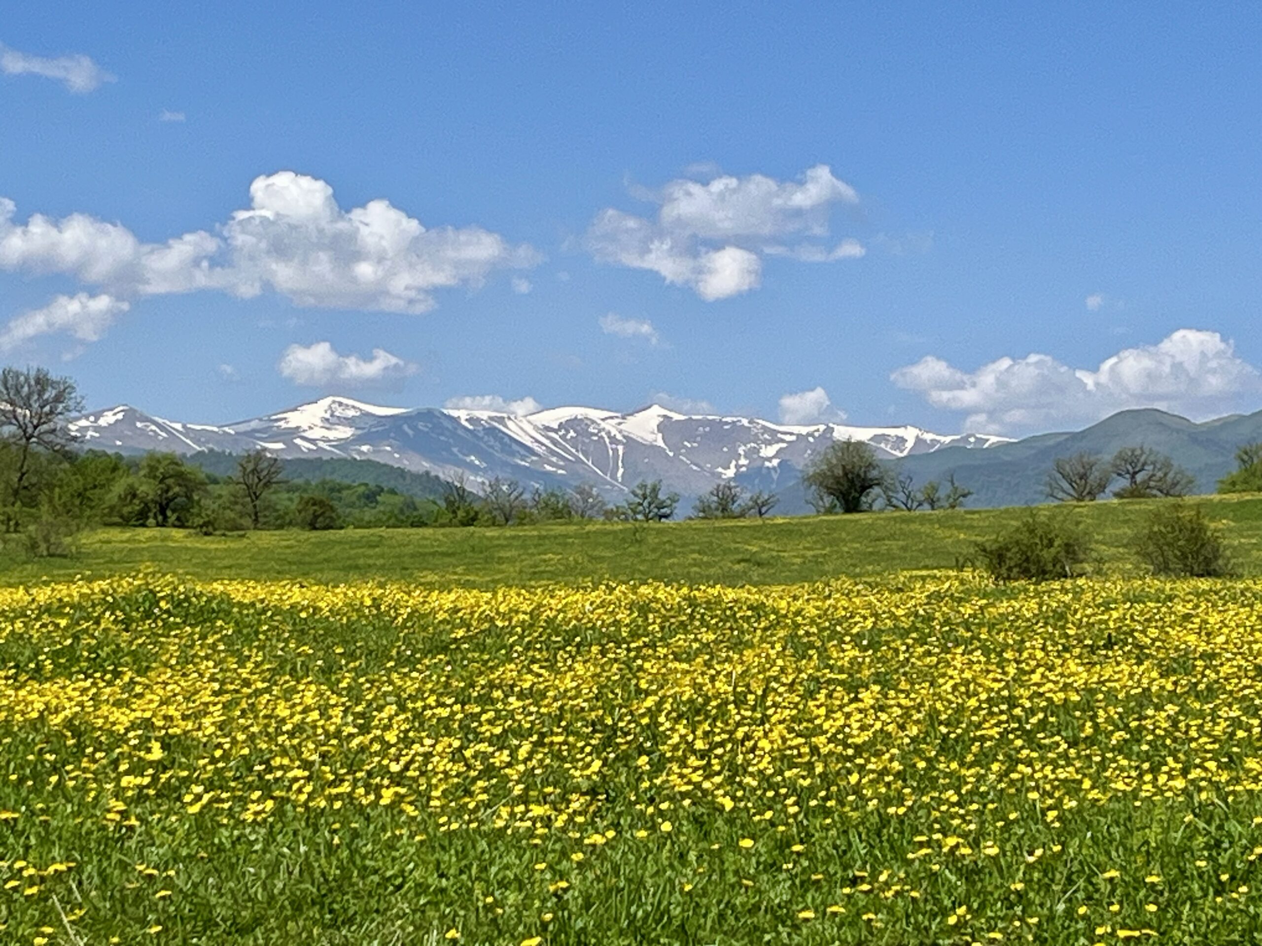 Armenien für Naturliebhaber: Die besten Spots für Flora & Fauna in Dilijan und Jermuk